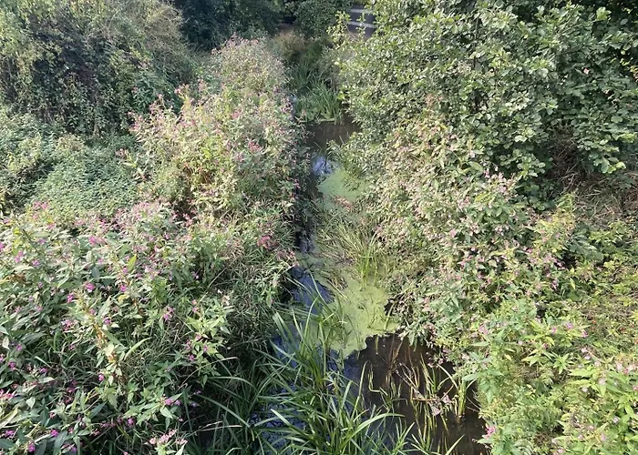 Apartment Open-air-bnb 76m2 Freudenburg Nur 3 Min *